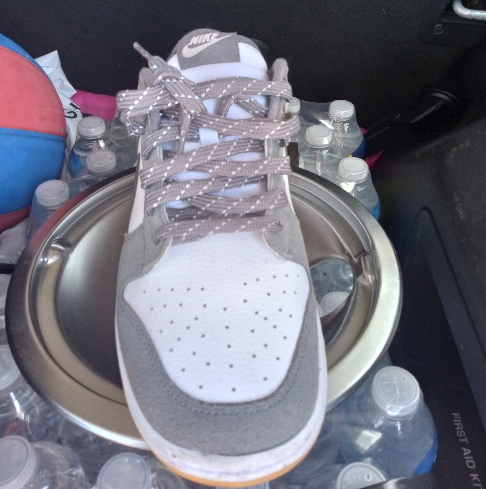 Dunks - Picture 2 of 3